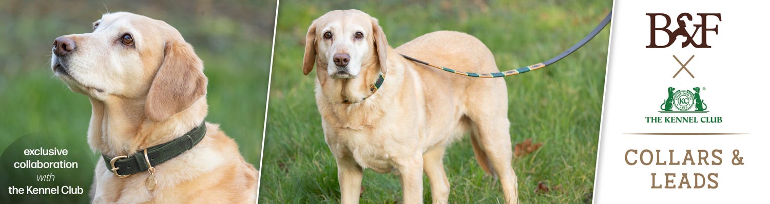 B&F Collars And Leads